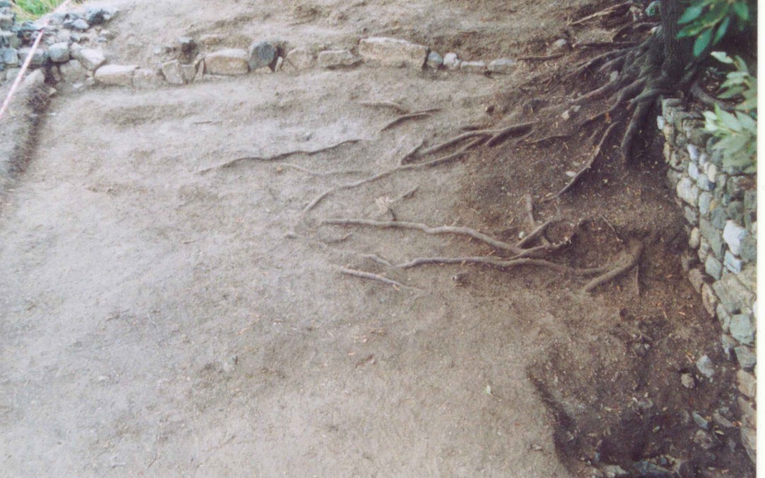 fig.6. L’Area 3000 vista da sud-est poco dopo l’inizio dello scavo: sullo sfondo un muro di pietre di recupero legato a secco di epoca recente, forse per recinzione di un ovile o di un’area di pascolo temporanea.